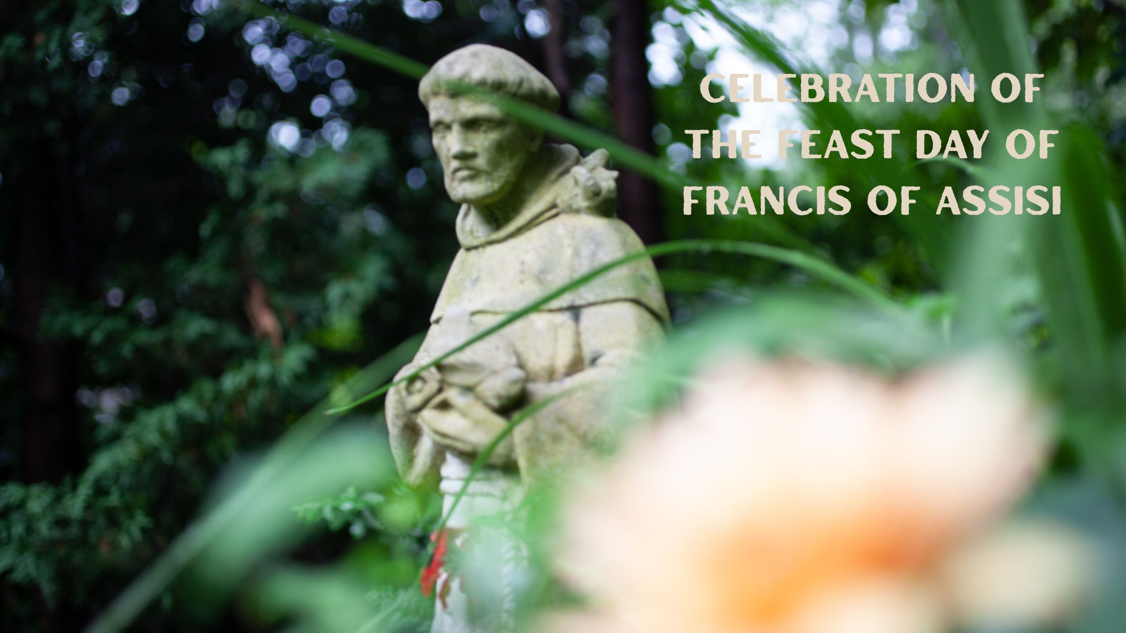 Celebration of the Feast Day of Francis of Assisi